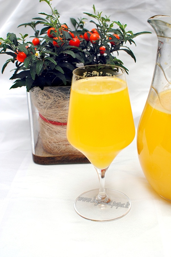 apelsininis limonadas (1)3