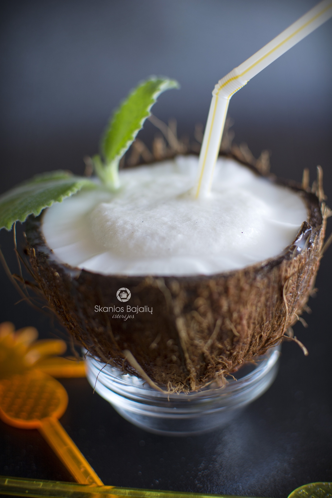 Coconada – Skanios Bajalių šeimos istorijos
